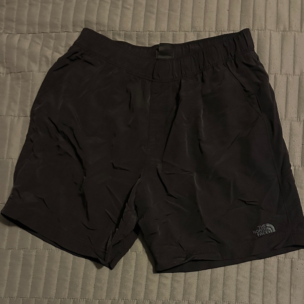 The North Face Dark Charcoal Shorts